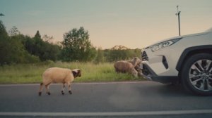 Рекламный ролик для TOYOTA RAV4 TVC / ЧУР Я ЗА РУЛЕМ