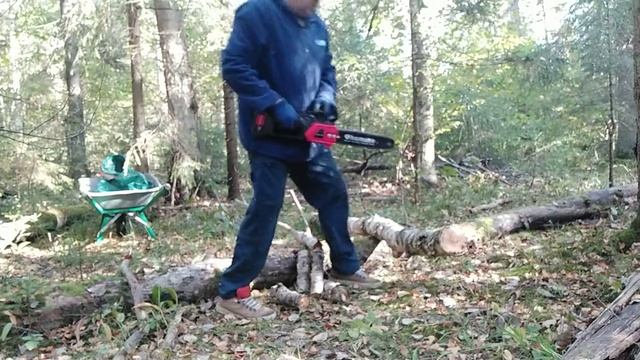 Электрическая пила Homime Power смотреть онлайн