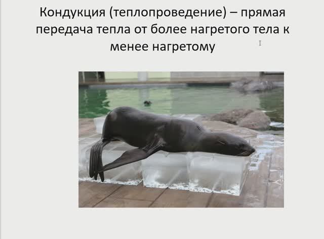 Терморегуляция смотреть онлайн