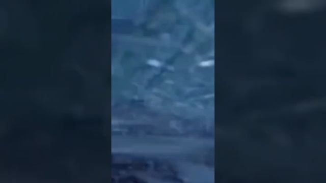 When you taking a family trip 😂 смотреть онлайн