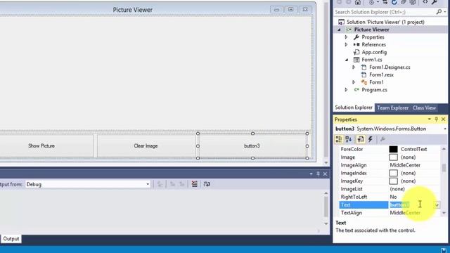 How To Create Image Viewer Using Windows Forms Application смотреть онлайн