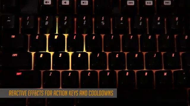 Razer BlackWidow X Tournament Edition Chroma смотреть онлайн