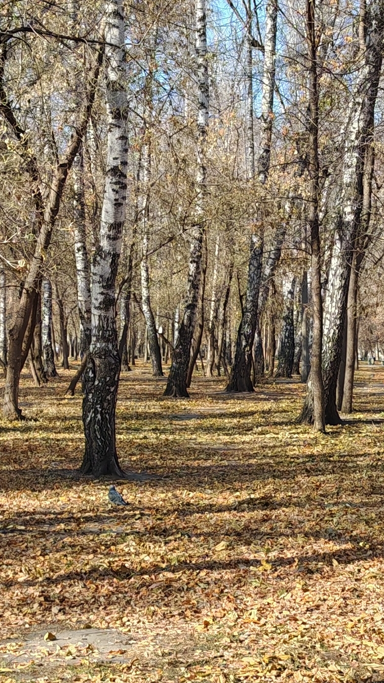 Самая равнодушная белка 🐿️ смотреть онлайн