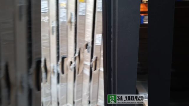 Обзор двери Промет Арктик зеркало смотреть онлайн