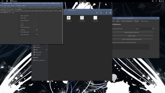 symlinking Guild Wars 2 in Linux. смотреть онлайн