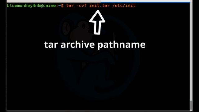 LCL 18 - logical acquisition with rsync, tar, 7z - Linux Command Line tutorial for forensics смотреть онлайн