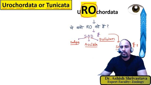 SUBPHYLUM- UROCHORDATA & CEPHALOCHORDATA || ANIMAL KINGDOM || NEET смотреть онлайн