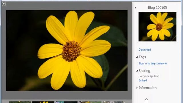 The new SkyDrive смотреть онлайн