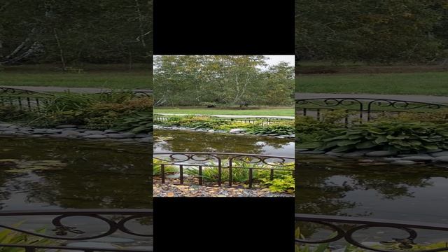 15-10-2024 Ачаир