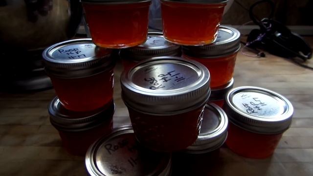 WILD ROSE HIP JELLY смотреть онлайн