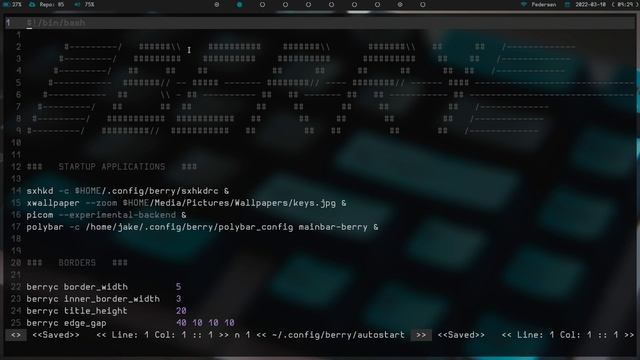 Berry Window Manager, basic setup and usage, and documentation coverage. смотреть онлайн
