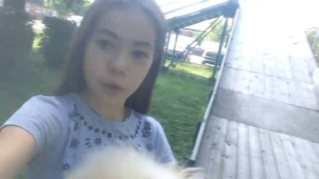 ПРОГУЛКА С ГЕТСБИ :) смотреть онлайн