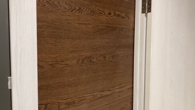 Межкомнатная дверь Браво 0 Brown Skyline купить со склада в Москве и МО 169.ru смотреть онлайн