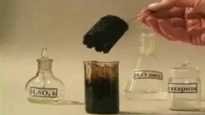 Органическая химия. Обугливание сахара концентрированной серной кислотой