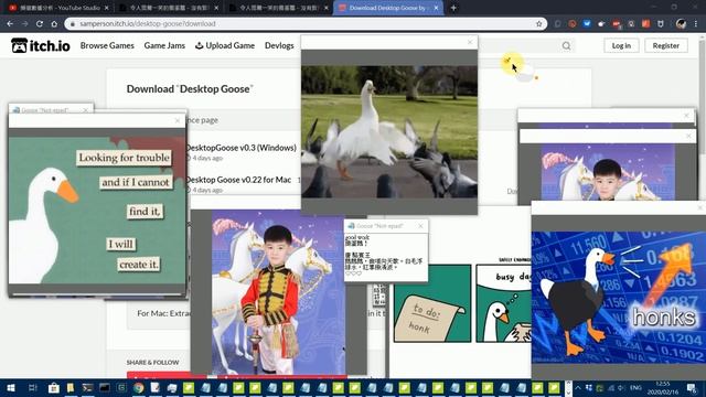 令人莞爾一笑的搗蛋鵝(Desktop Goose)－沒有實際用處的桌面寵物；Windows與MacOS適用 (CC字幕) смотреть онлайн