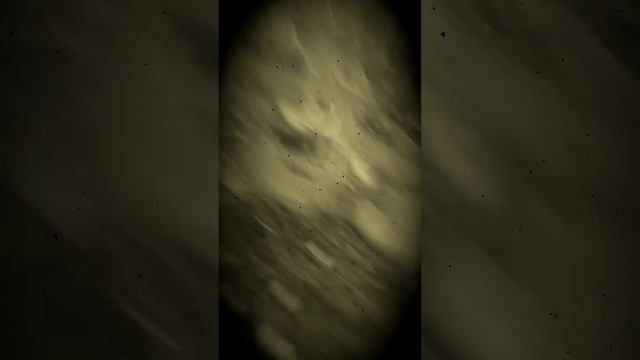 la caseria de los duendes de kevin y ciro смотреть онлайн