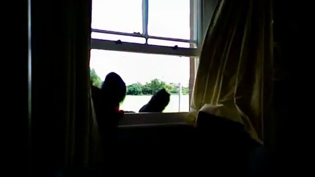Window fall office chair stunt смотреть онлайн