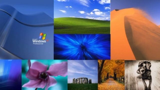 Velkommen - Stan LePard | Windows XP смотреть онлайн