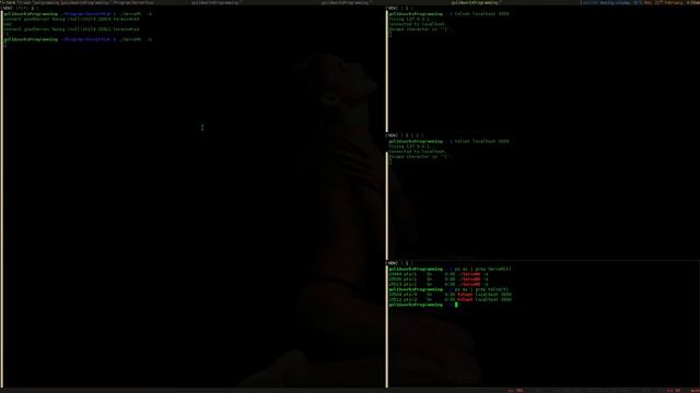 Socket C смотреть онлайн