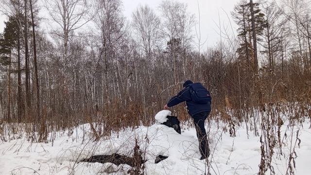 Средство от диких животных 😉 смотреть онлайн