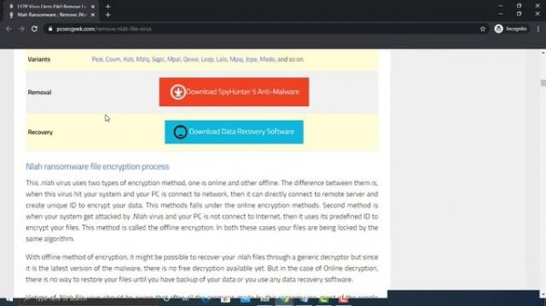 .Nlah File Virus/.Nlah Ransomware - How to remove + Recover Files