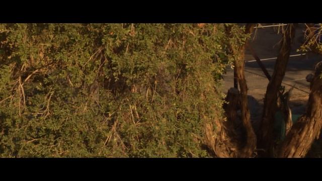 Topaz Video Enhance AI (Palm beach Sydney, NSW (EOSM with Canon FD 50mm f1.4 lens) IS IT WORTH IT? смотреть онлайн