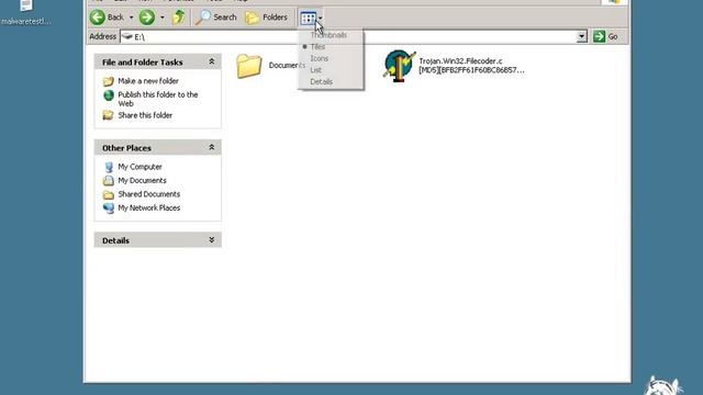 Trojan.Win32.Filecoder.c смотреть онлайн