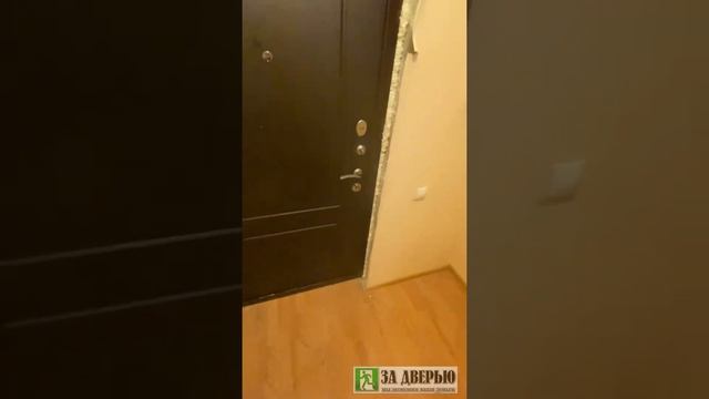 Отзыв о двери Гранит С1 смотреть онлайн