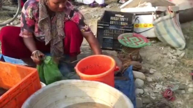 Nepal Village Life Style || Life-catfish || Cutting Local Fish Market ||  #Mountainkulungtv