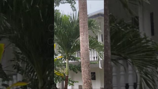 Сейшелы. Seychelles. 塞舌尔。 смотреть онлайн