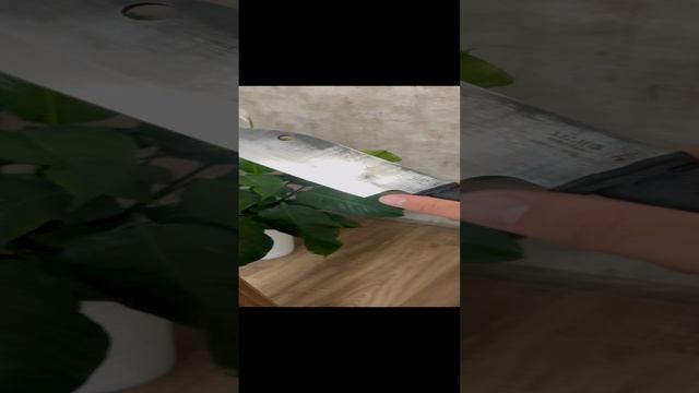 15-10-2024 тяпка малая и большая смотреть онлайн