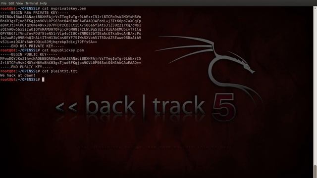 openssl смотреть онлайн