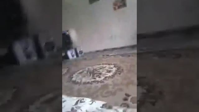 Дразнилки смотреть онлайн