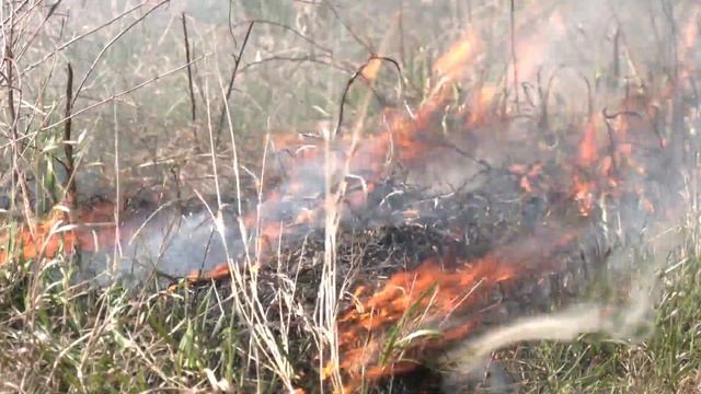Such was last winter’s snow that it’s shortening the window for controlled burns смотреть онлайн