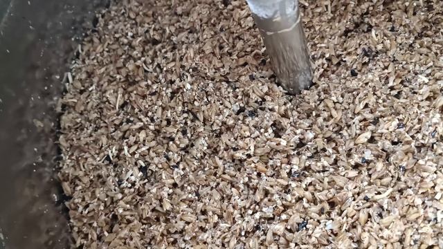 Балтийский портер (лагер делаем дома!!!)