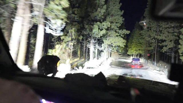 I ALMOST LOST MY JEEP WRANGLER 392 смотреть онлайн