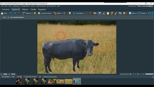 Ashampoo Photo Commander 15 highlights смотреть онлайн