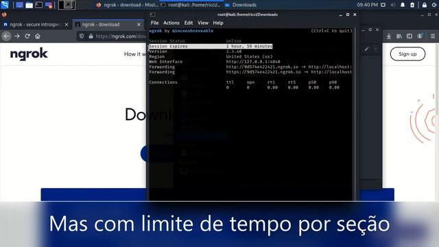 Ngrok - Como Baixar e Configurar Sem Erros! смотреть онлайн