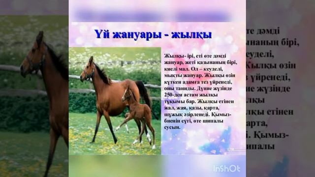 Ұлы даланың жеті қыры. Атқа міну мәдениеті смотреть онлайн