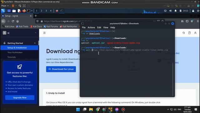 How to Install Ngrok on Kali Linux смотреть онлайн