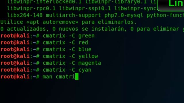 Efecto MATRIX en WINDOWS,MAC Y LINUX y otros trucos para parecer HACKER смотреть онлайн