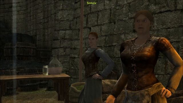Arcania Gothic 4 Walkthrough Full Game: Episode 14 смотреть онлайн