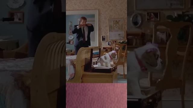 Моя собака – Наталия Лансере смотреть онлайн