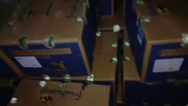 Gudang Buah Import TUNAS BUAH - apa aja ada disini !! смотреть онлайн
