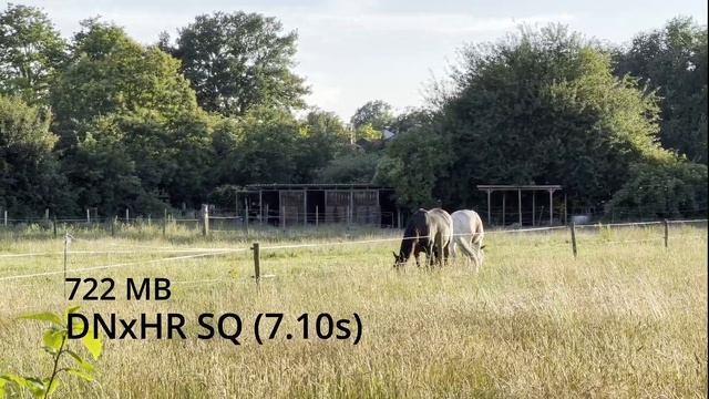 Comparing Intermediate Codecs in 4K смотреть онлайн