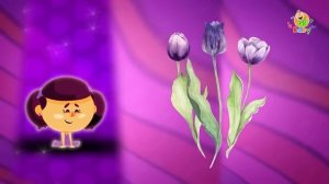 البنفسجي  детский нашид цвета на арабском