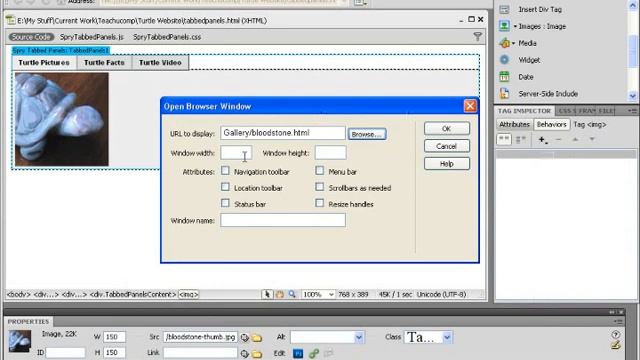 Dreamweaver CS5 Tutorial Open Browser Window Behavior Adobe Training Lesson 10.7 смотреть онлайн
