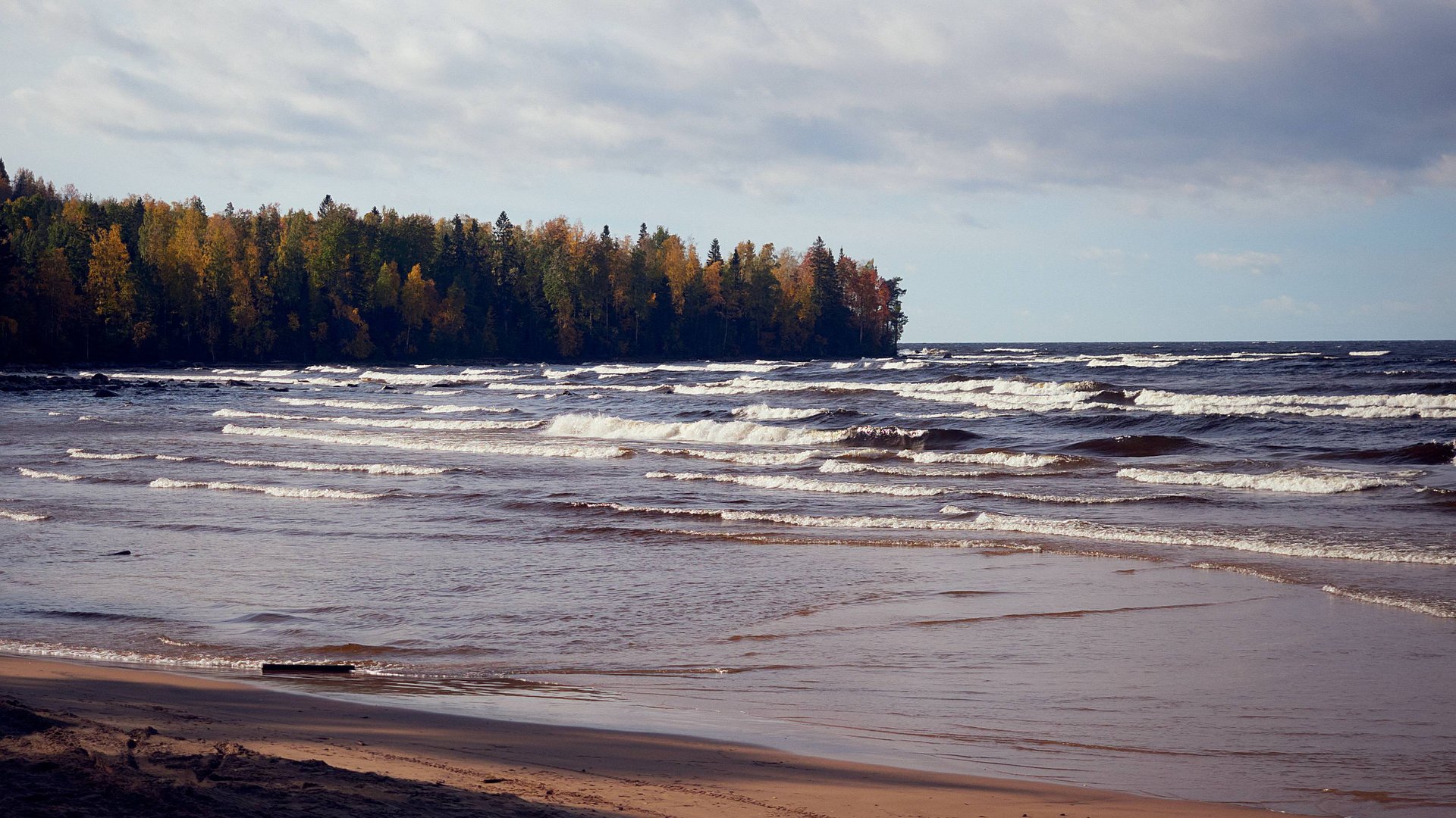 Поющие Пески Онеги 2024 смотреть онлайн