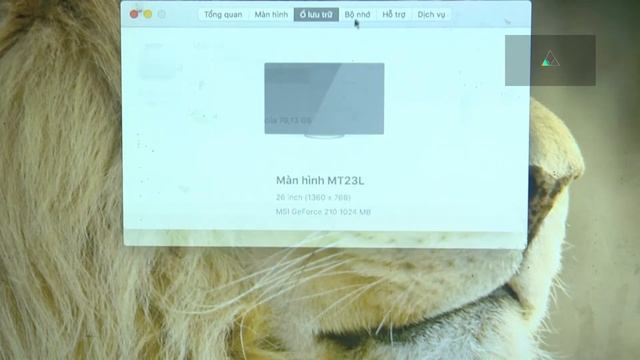 hackintosh pc socket 775 смотреть онлайн