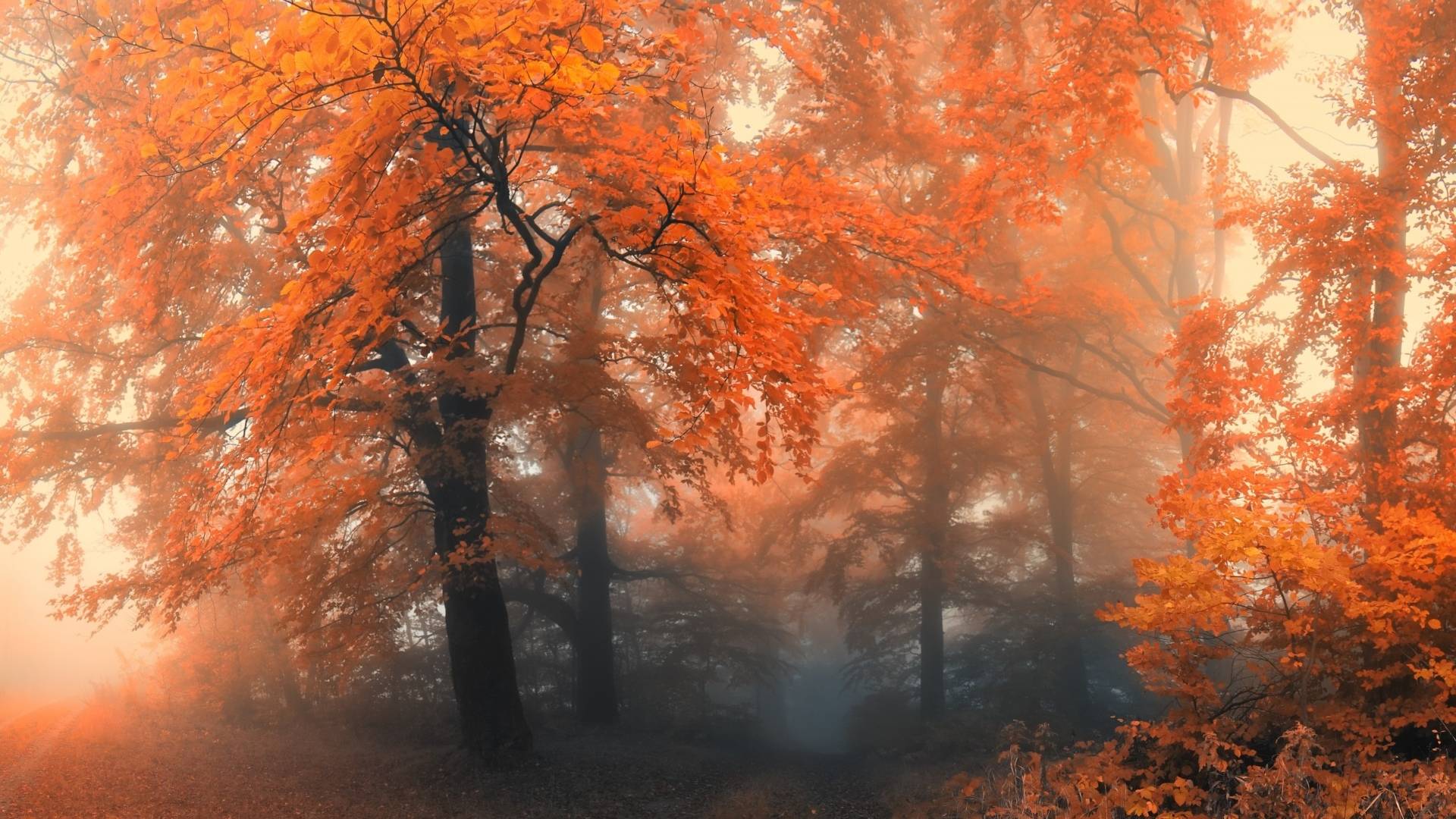 Дача за 150.000р - 8 серия: Ставлю забор в одно а жена разбирает печку)